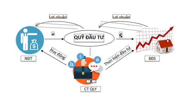 quy-dau-tu-uy-tin