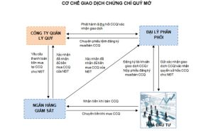 giao-dich-chung-chi-quy